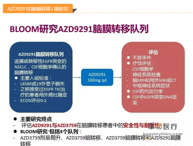 AZD9291在NSCLC脑转移研究