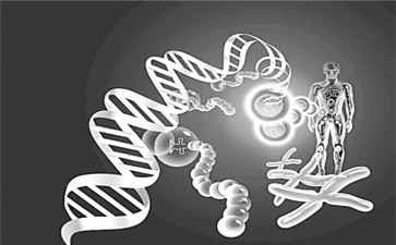 艾坦(阿帕替尼)胃癌晚期分子靶向抗肿瘤药物