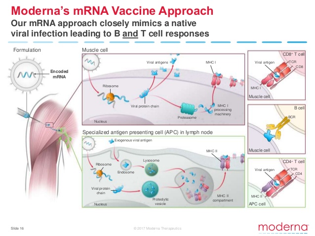 moderna-at-35th-annual-jp-morgan-healthcare-conference-16-63