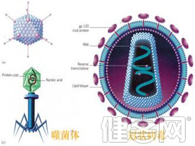 气虚者容易得肺癌可通过饮食调养