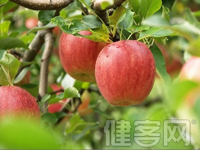 蘑菇能防癌抗癌 防癌延寿必吃9大食物