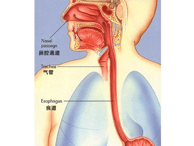 数一数十大癌症的早期信号