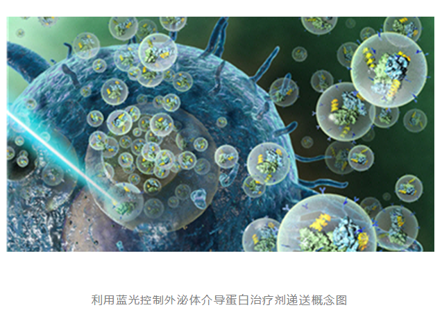 nat commun:研究人员开发出利用光控制外泌体输送蛋白质药物靶向肿瘤